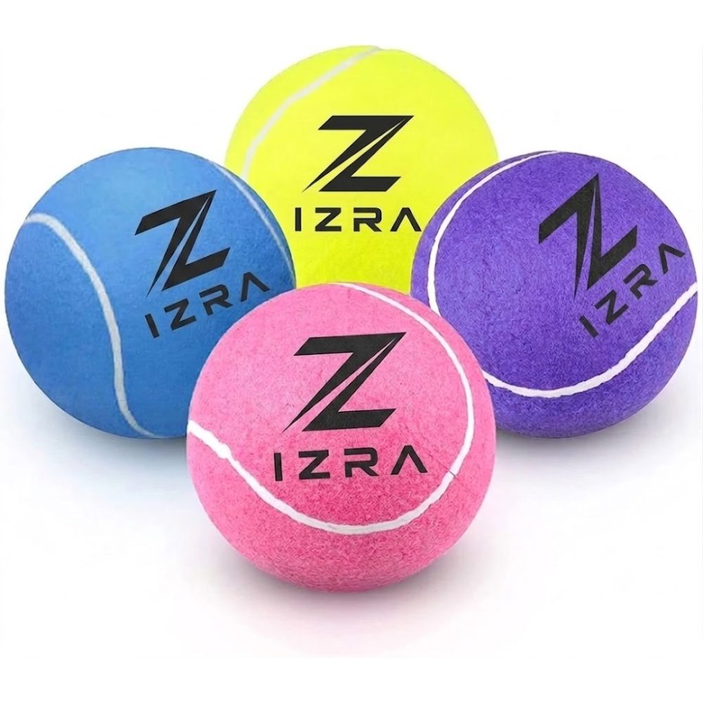 Premium Pet Ball Toy for Dogs & Cats